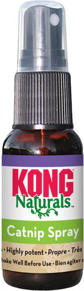 KONG catnip spray 1.4 oz natural catnip spray bottle for pets by Zoomies & Co