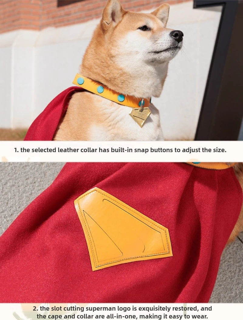 Dog dressed in Krypto Superdog cosplay outfit with a red cape and adjustable collar