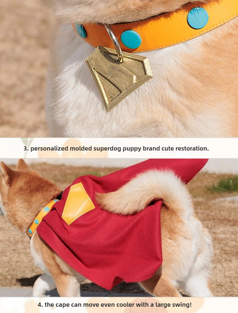 Krypto Superdog cosplay outfit with a dog wearing a red cape and gold collar tag for playful adventures