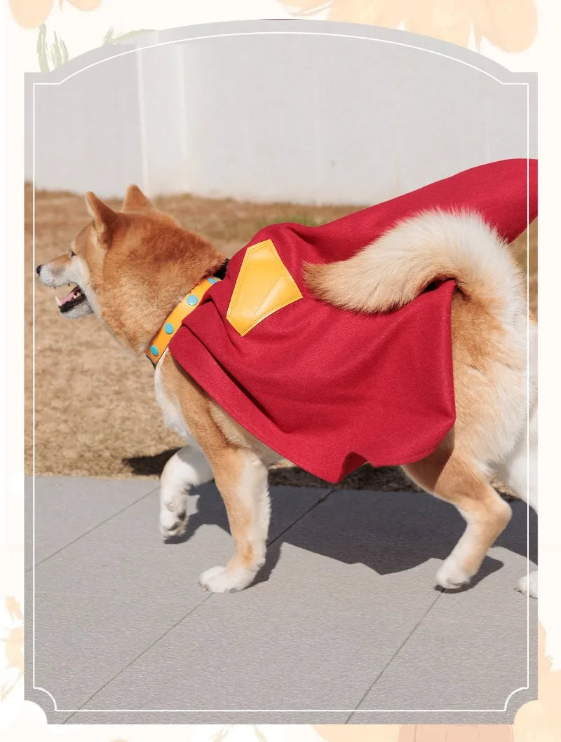 Adorable dog in a Krypto Superdog cosplay outfit featuring a red cape and colorful collar