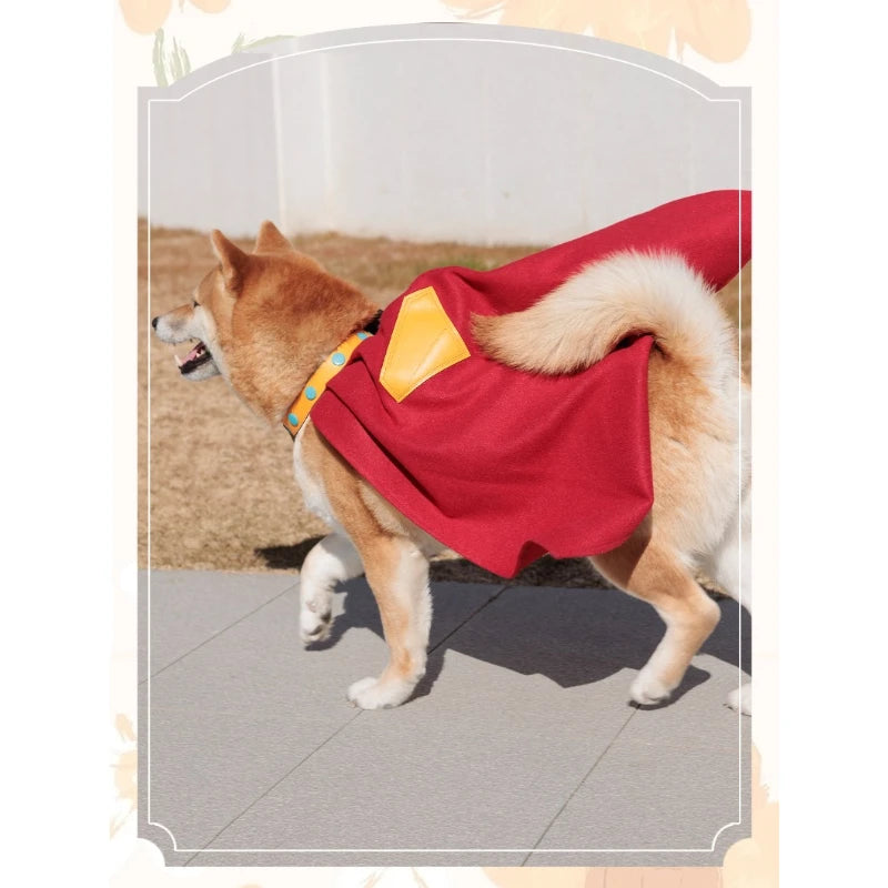 Dog wearing a Krypto Superdog cosplay outfit with a red cape and colorful collar