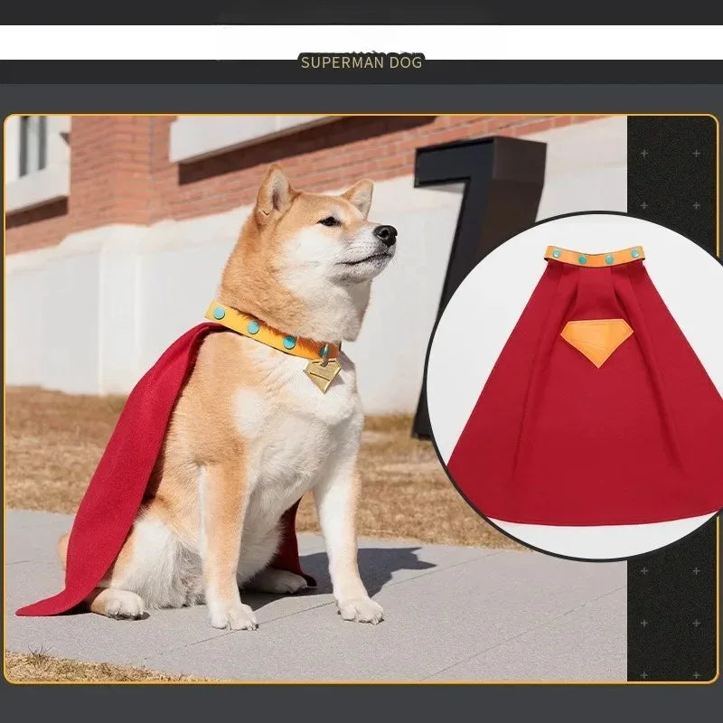 Adorable dog wearing a Krypto Superdog cosplay outfit with a red cape and Superman emblem
