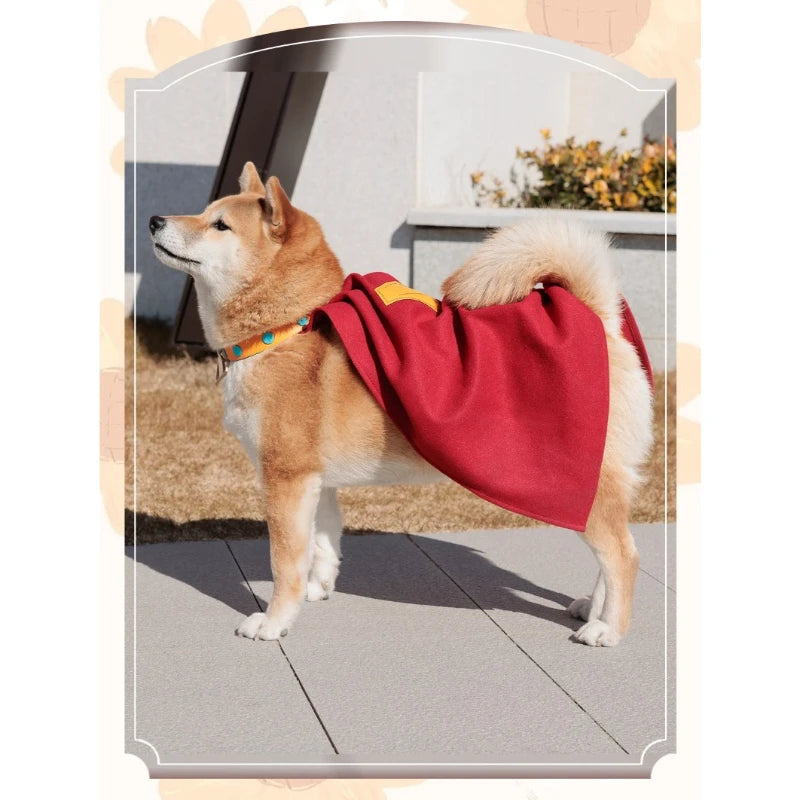 Shiba Inu wearing a Krypto Superdog cosplay outfit with a red cape, perfect for pet costumes