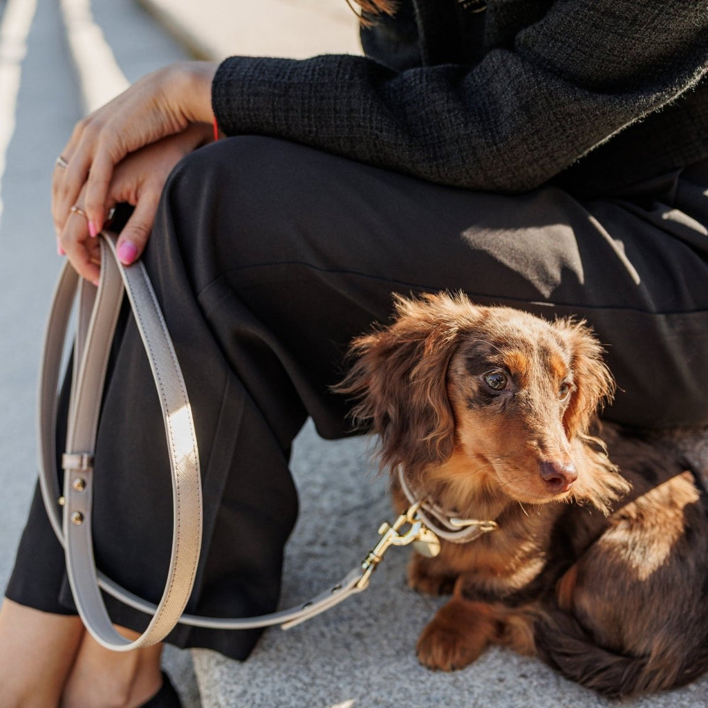 Leash 4ft - Vegan Leather