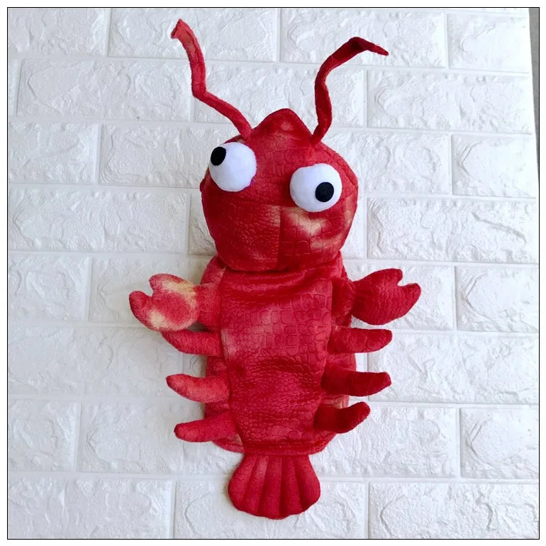 Lobster dog costume in red with fun eyes and claw details for pets at Zoomies & Co