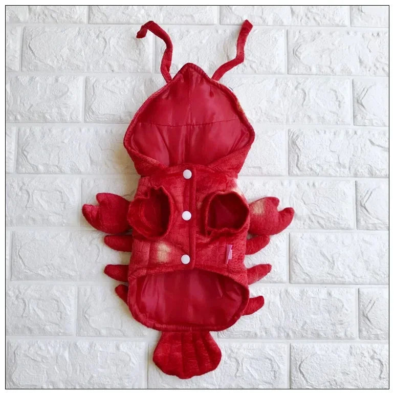 Red lobster dog costume by Zoomies & Co with claw details and button closure for pets