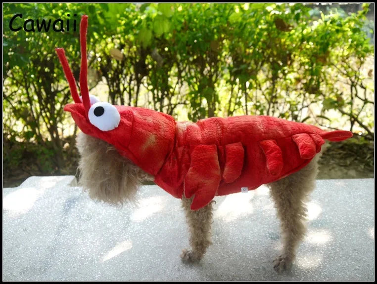Adorable lobster dog costume in red with eyes and antennae for pets