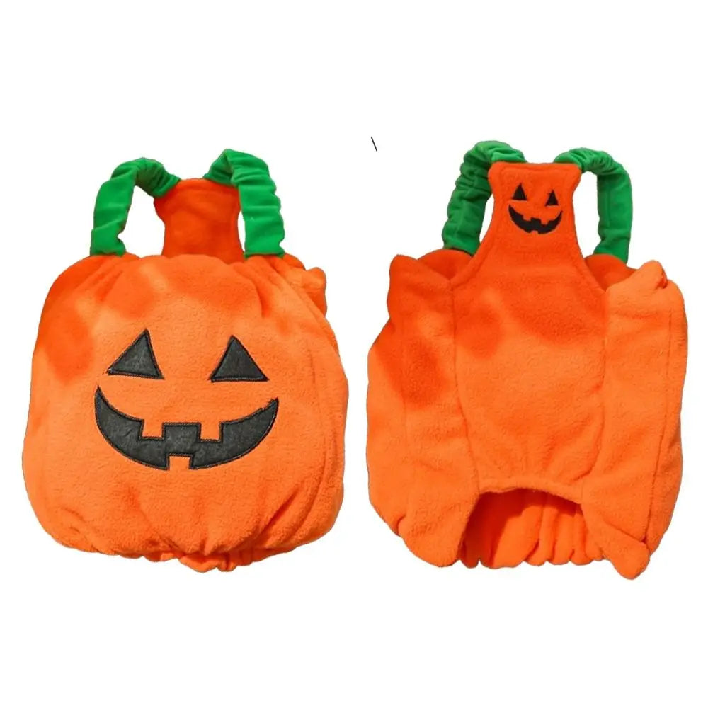 Adorable dog pumpkin costume Halloween with smiling face and green straps for festive pet fun