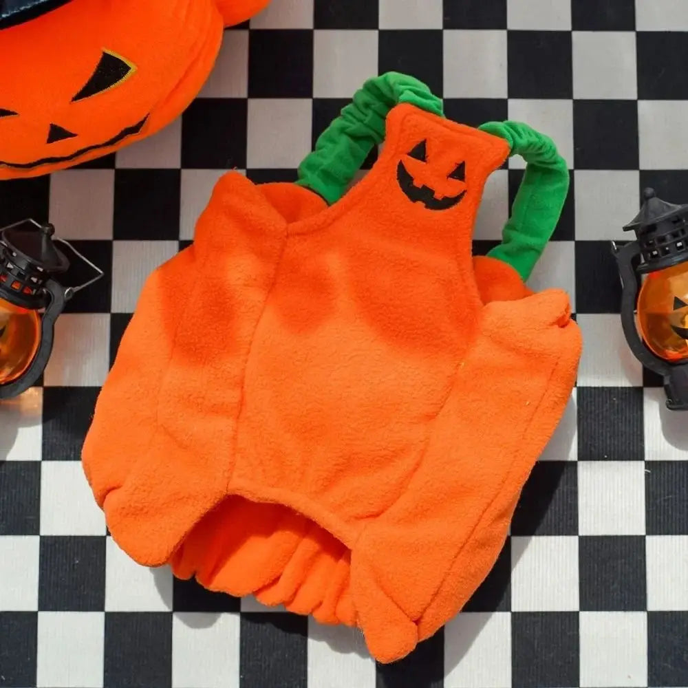 Cute orange dog pumpkin costume Halloween with a joyful jack-o-lantern face for festive pets