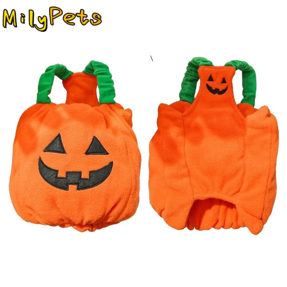 Cute dog pumpkin costume Halloween with smiling jack-o-lantern design and green straps