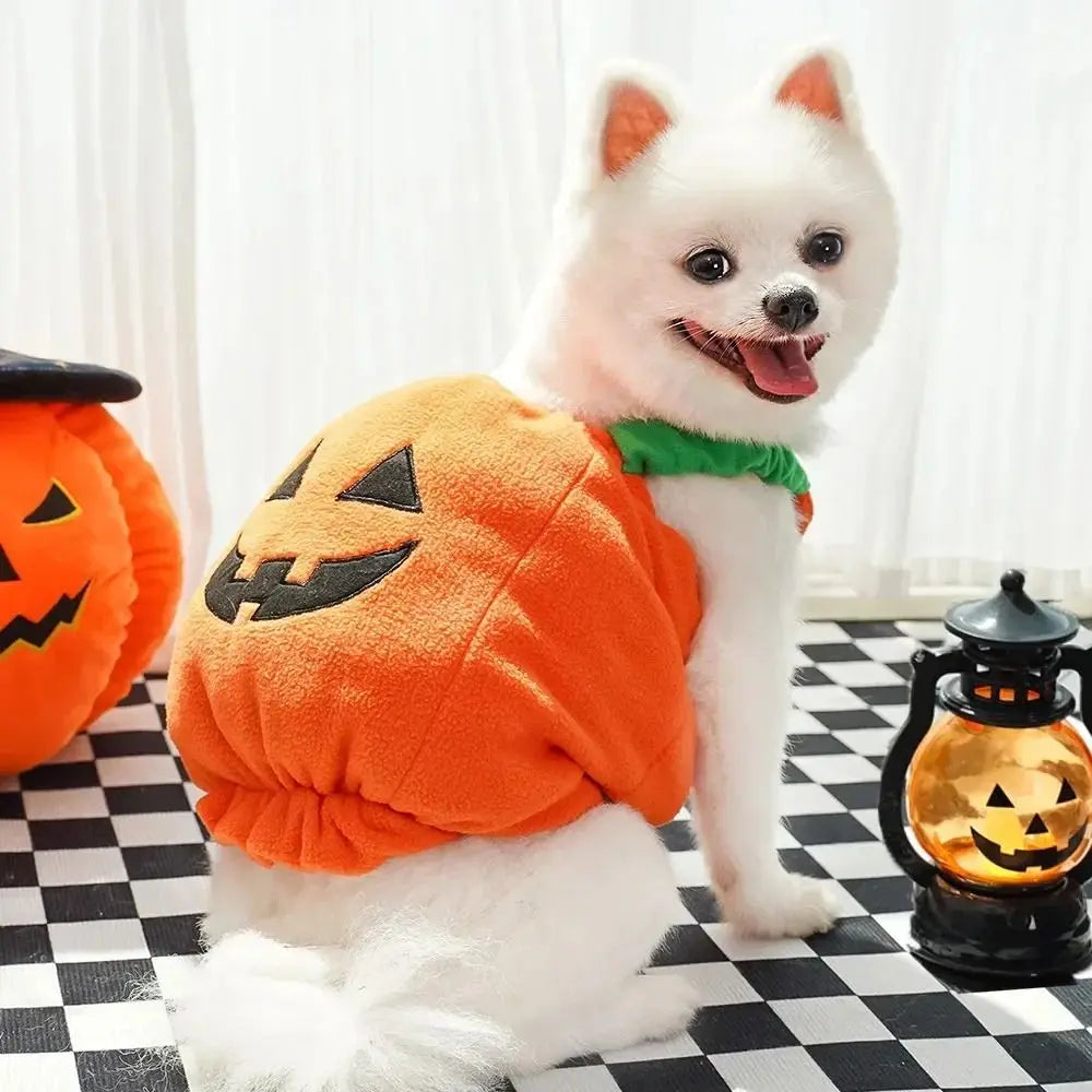 Adorable dog pumpkin costume Halloween for pets featuring a cheerful design with a smiling face