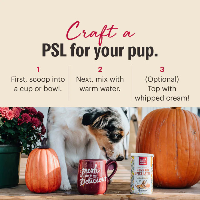 The Honest Kitchen Dog Instant Pumpkin Latte 4 Oz