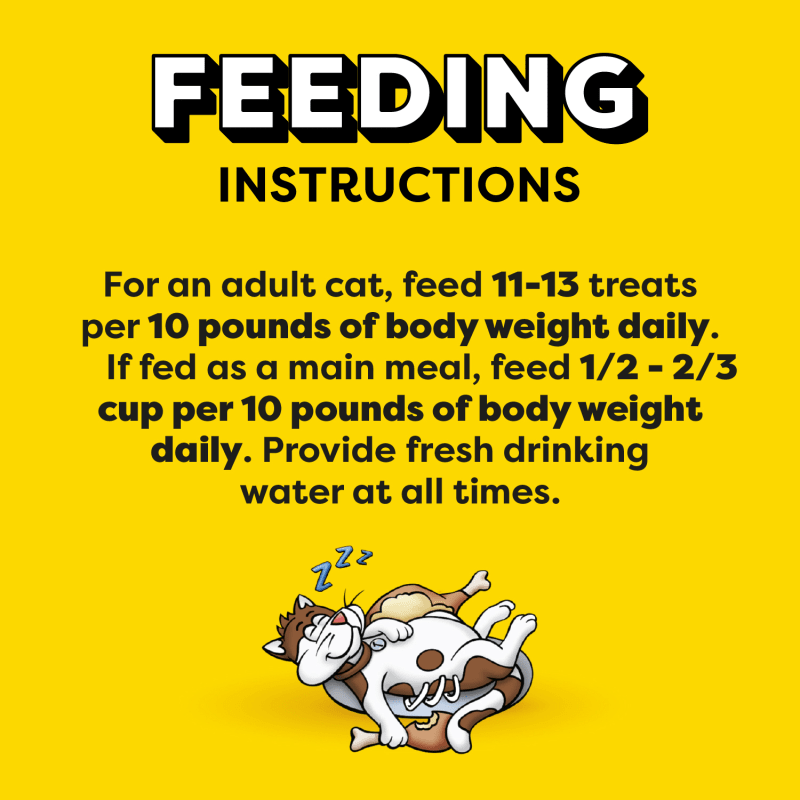 Temptations Classics Crunchy & Soft Adult Cat Treats Tantalizing Turkey 6.3oz.