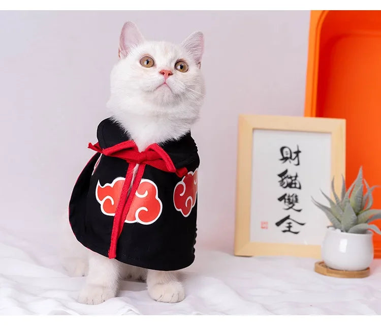 White cat wearing a Naruto pet cloak with red cloud designs and a hood for stylish pet cosplay