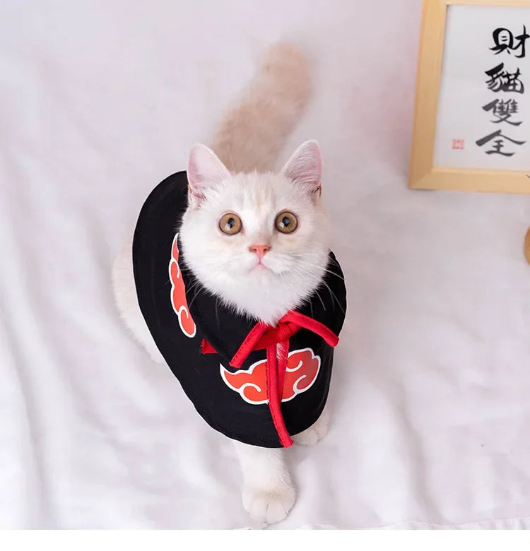 Cute cat wearing a Naruto pet cloak with a red cloud design and tied around the neck