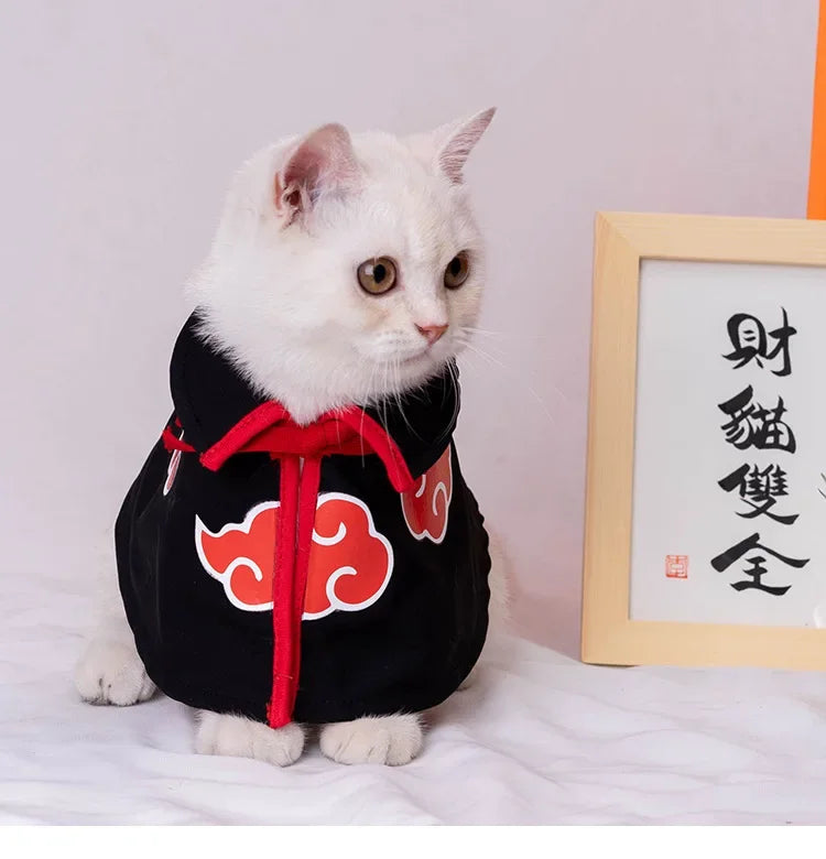 Cute white cat wearing a Naruto pet cloak featuring red cloud designs for anime lovers