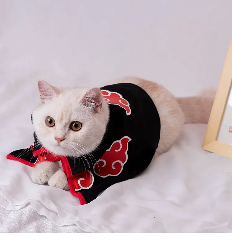 Cute cat wearing a Naruto pet cloak with red and black design, perfect for anime lovers