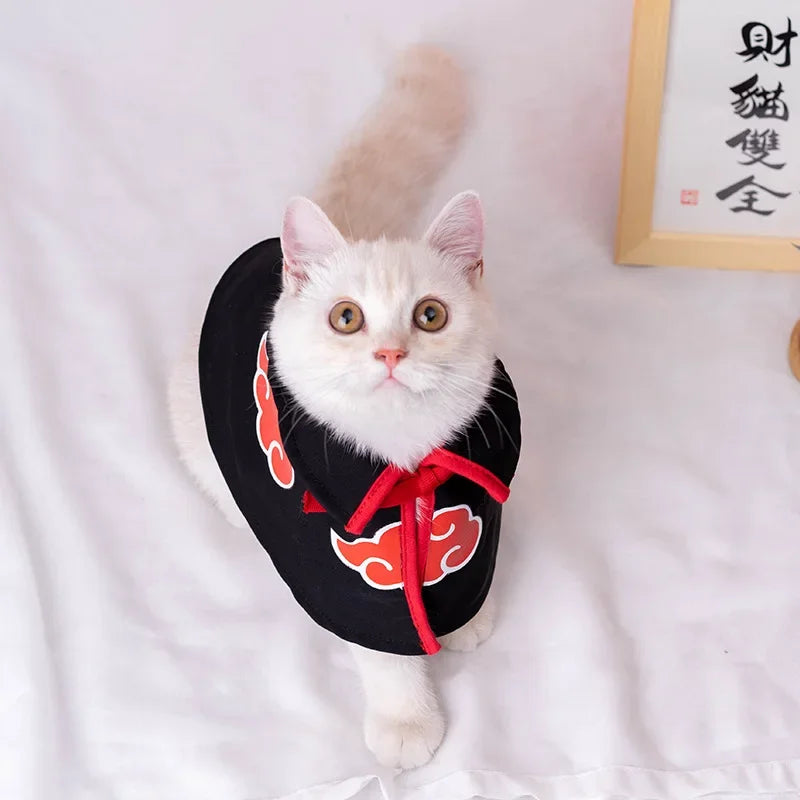 Cute white cat wearing a Naruto pet cloak with red cloud design for stylish pet cosplay