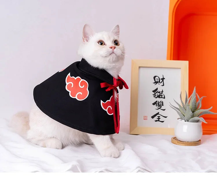 Cute white cat wearing a Naruto pet cloak with a red cloud design for stylish pet cosplay
