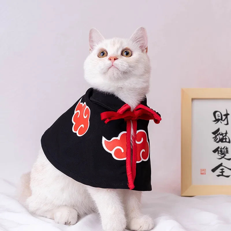 White cat wearing a Naruto pet cloak with red cloud designs and a red tie closure