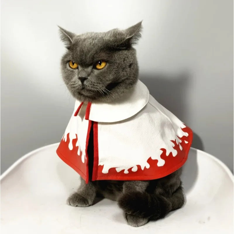 Gray cat wearing a Naruto pet costume with red flames on the bottom for playful pet appearances