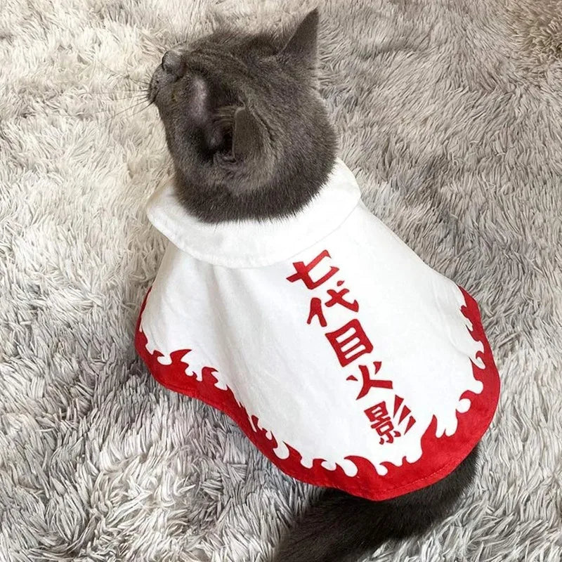 Cute gray cat wearing a Naruto pet costume with fiery edges and Japanese text on the back