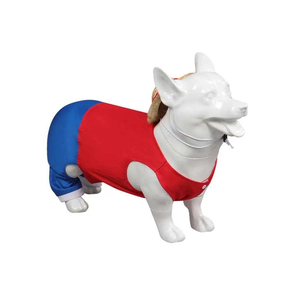 Corgi mannequin in a One Piece dog outfit with red top and blue pants for pet cosplay