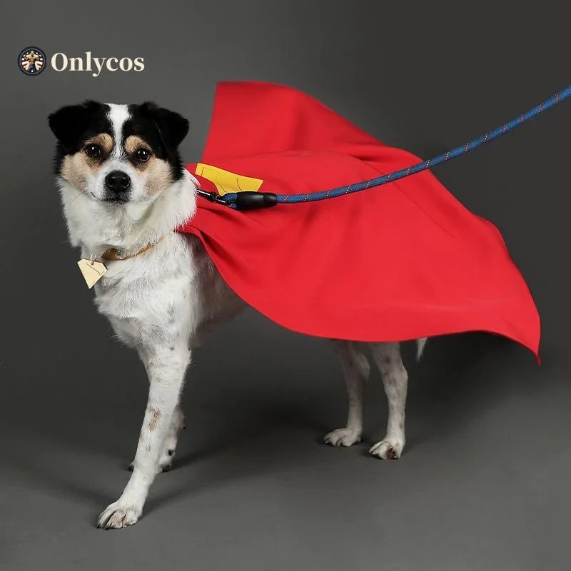 Krypto cosplay dog costume featuring a red cape, perfect for superhero-themed pet events