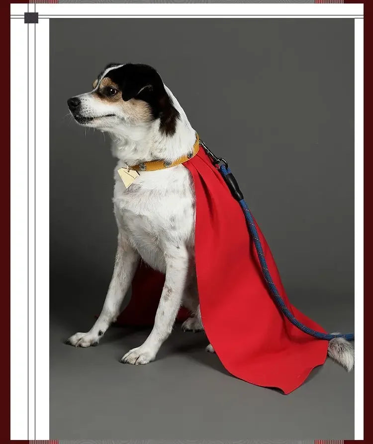 Krypto cosplay dog costume featuring a red cape and leash for stylish pet adventures