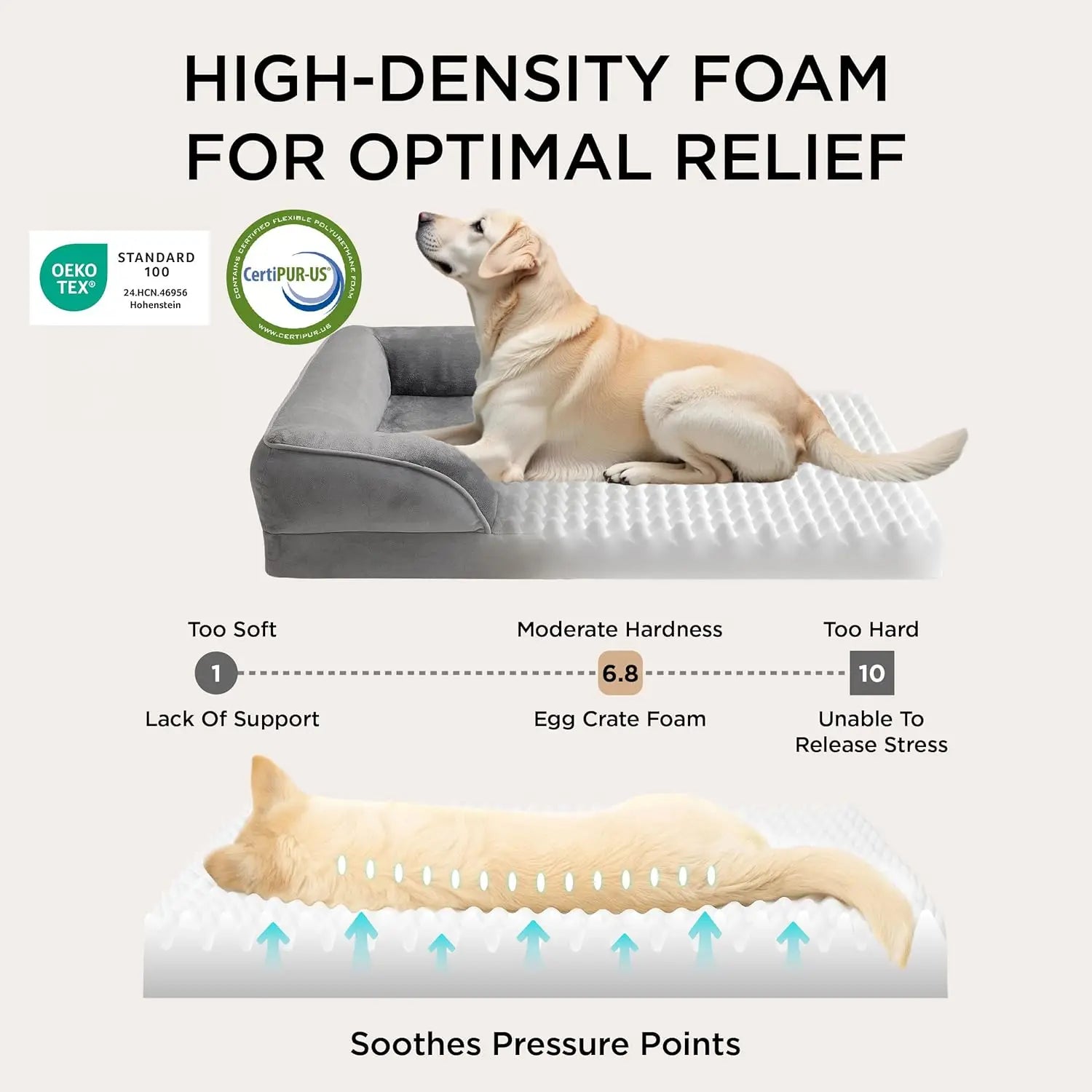 Orthopedic dog bed medium washable with high-density foam for optimal relief and support