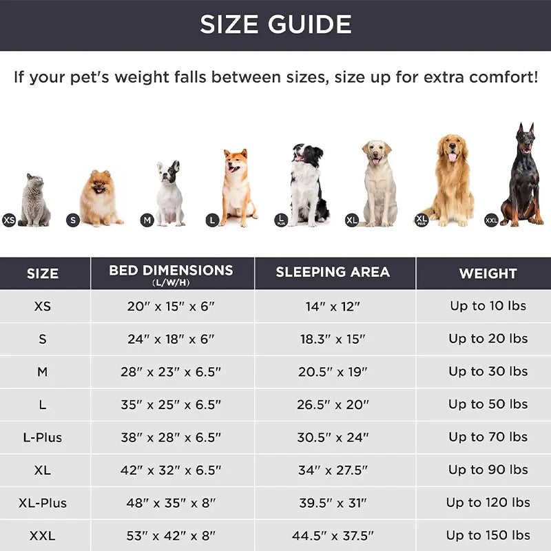 Zoomies & Co medium orthopedic dog bed washable with size guide for perfect fit