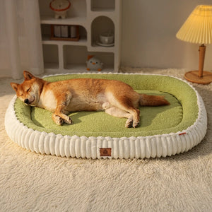 Cozy orthopedic dog bed with bolster in green and white, designed for comfort and support for pets