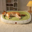Cozy orthopedic dog bed with bolster in green and white, designed for comfort and support for pets