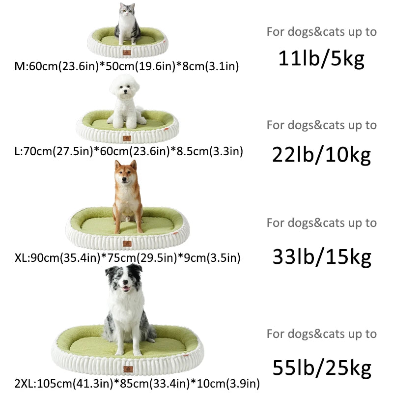 Orthopedic dog bed with bolster in various sizes for pets up to 55 lb with soft cushioning