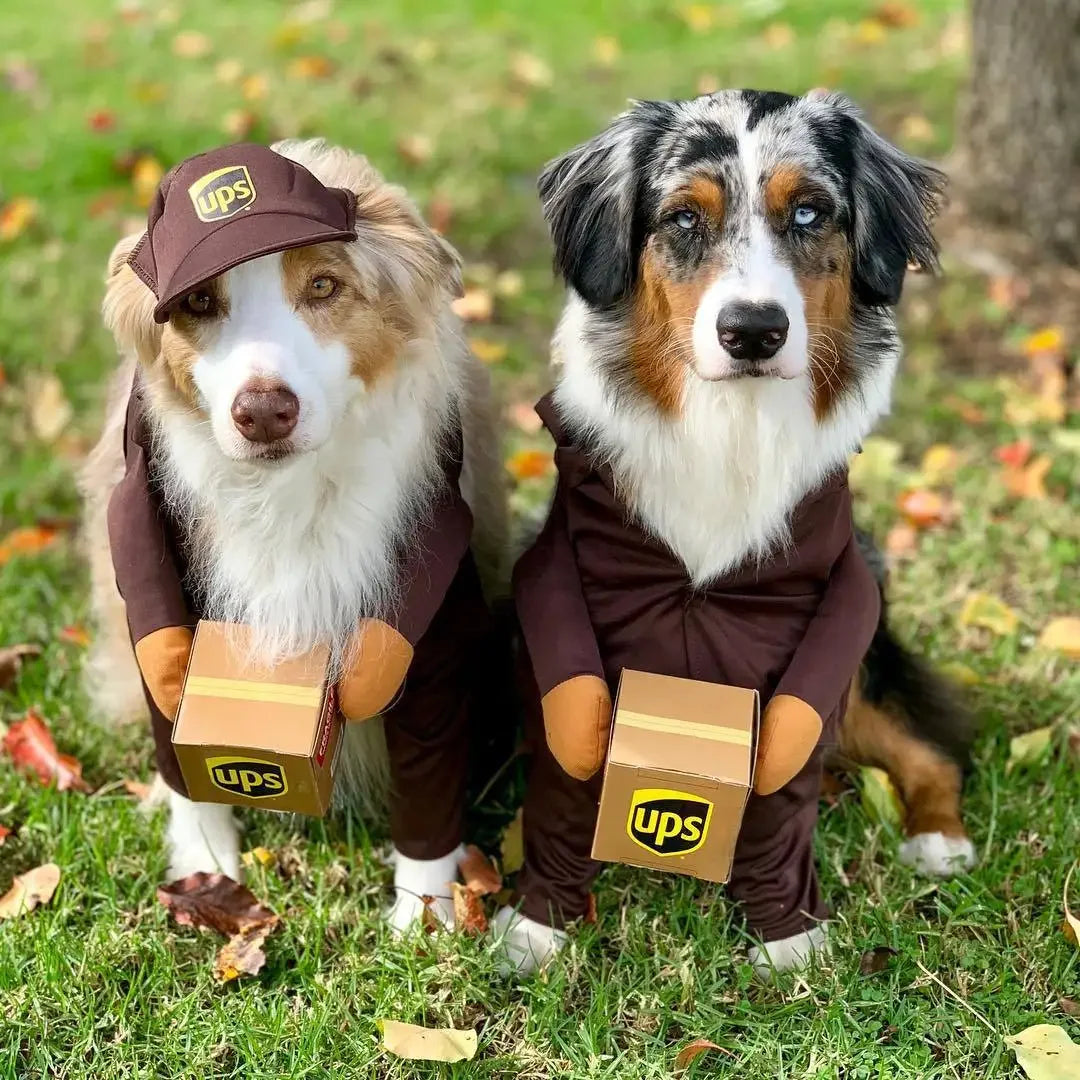 Two dogs in UPS pet courier costume for dogs holding small packages outdoors among leaves