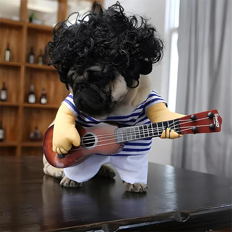 Adorable pug wearing a pet guitar costume with curly wig and striped shirt