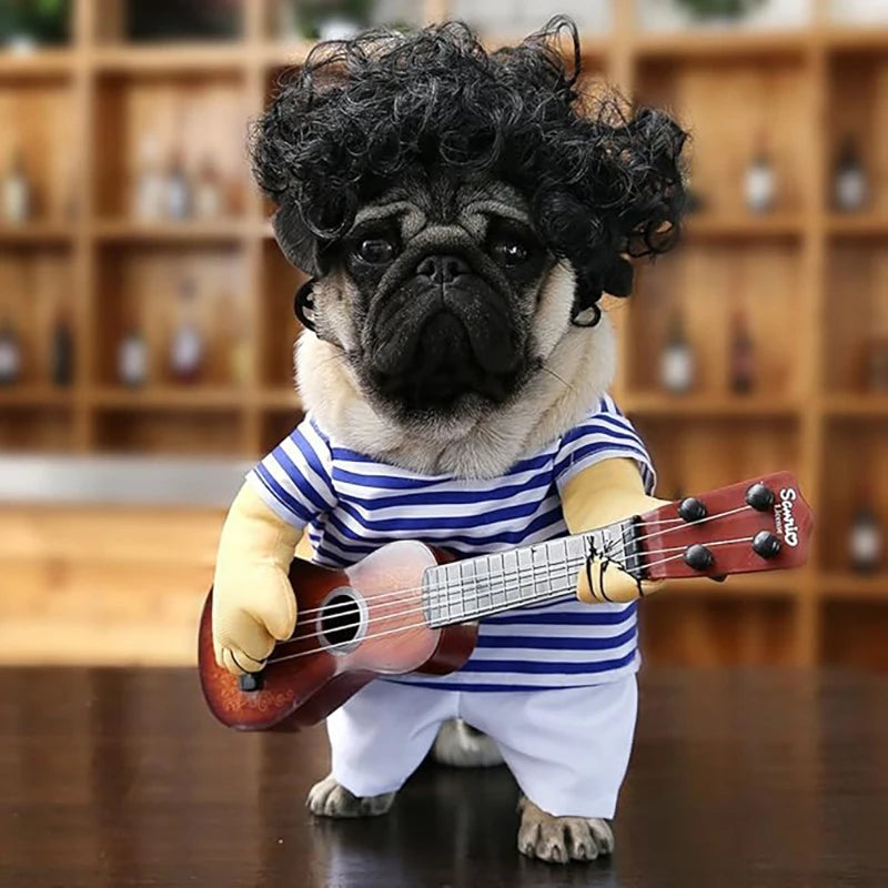 Adorable pug in a pet guitar costume with curly wig and striped shirt playing a small guitar