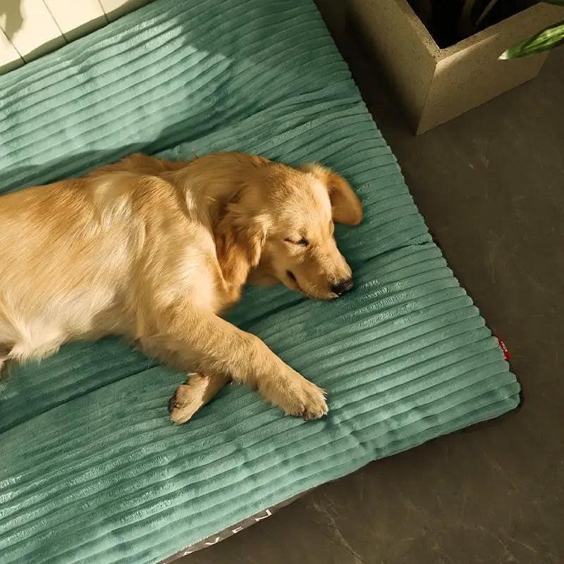 Cheerful golden retriever sleeping on anti-bite washable pet bed for comfort and durability