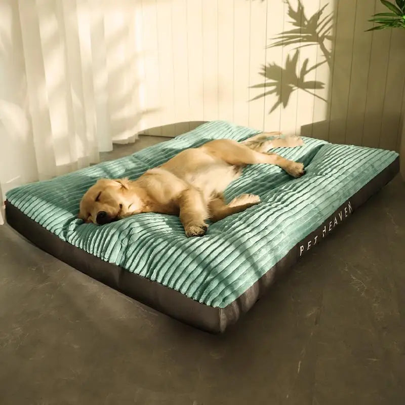 Cozy dog resting on an anti-bite washable pet bed in a bright room with natural light