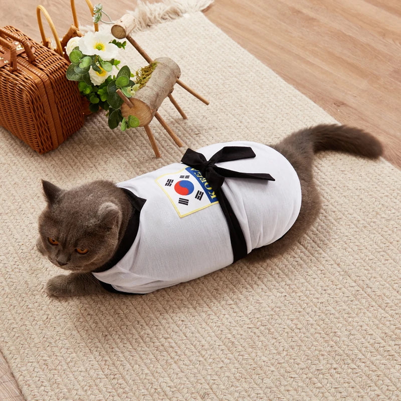 Cute cat in a pet karate costume Halloween with a Korean flag design and black belt