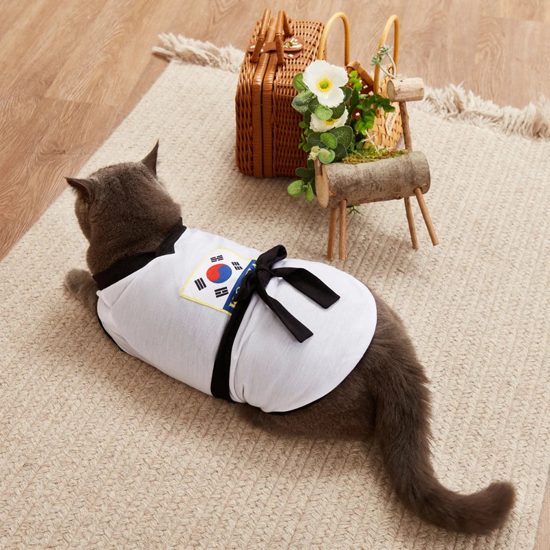 Gray cat wearing a pet karate costume Halloween with black ribbon and design for festive fun
