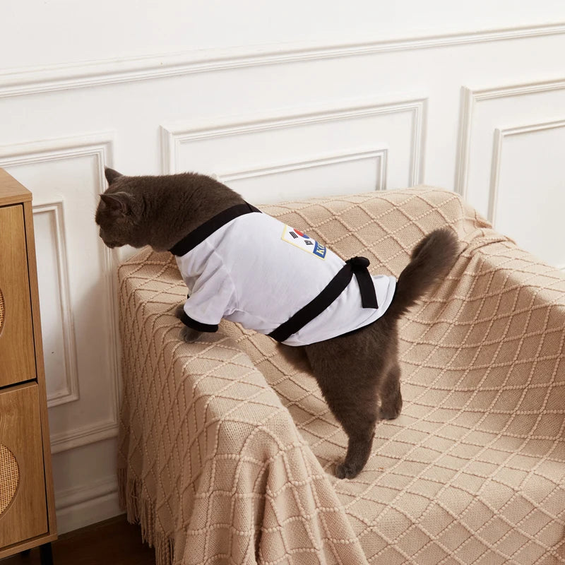 Adorable cat in a pet karate costume Halloween with a black belt and white outfit ready for trick or treating