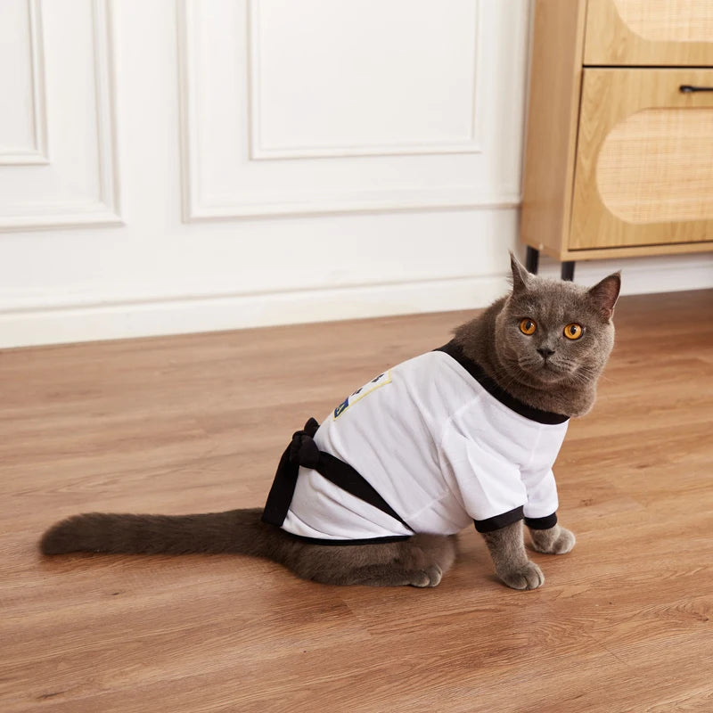 Cute gray cat wearing a pet karate costume Halloween with black and white detailing