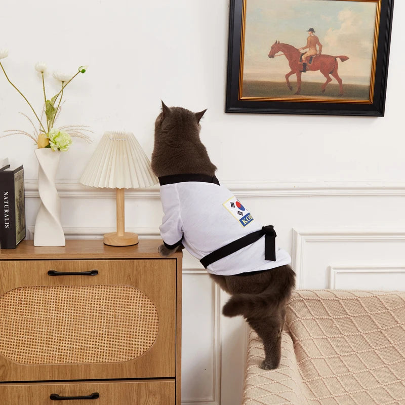 Adorable cat wearing a pet karate costume Halloween with a white top and black belt, exploring a cozy home