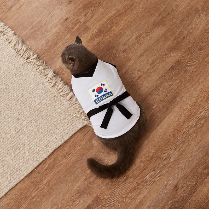 Adorable cat wearing a pet karate costume Halloween with Korean flag design and black belt