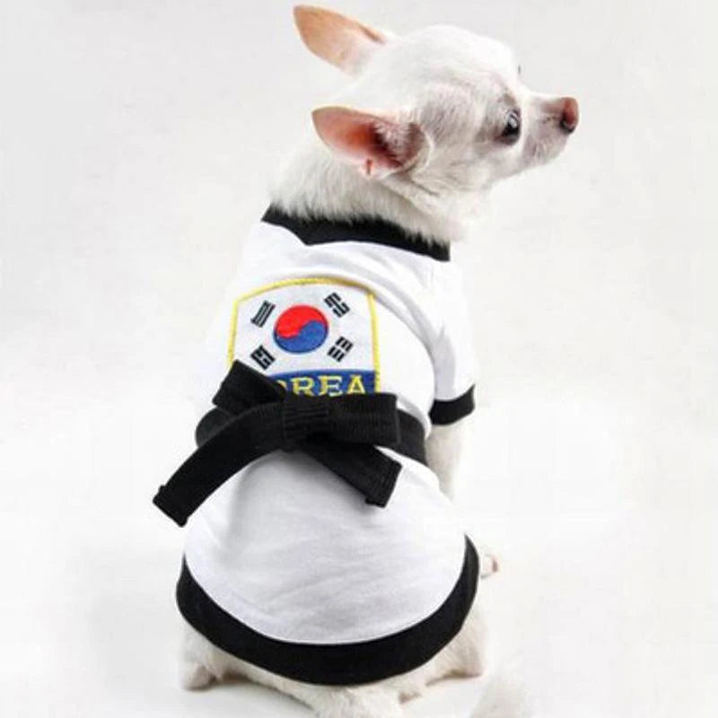 Small dog wearing a pet karate costume Halloween with Korea flag design and black belt