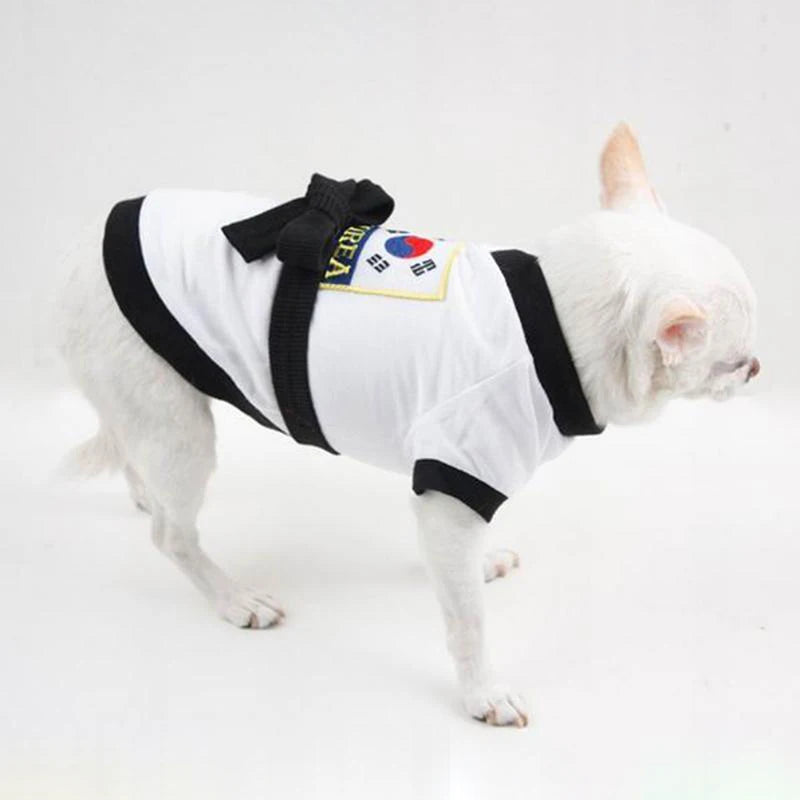 Adorable dog in a pet karate costume Halloween with a black belt and colorful patches