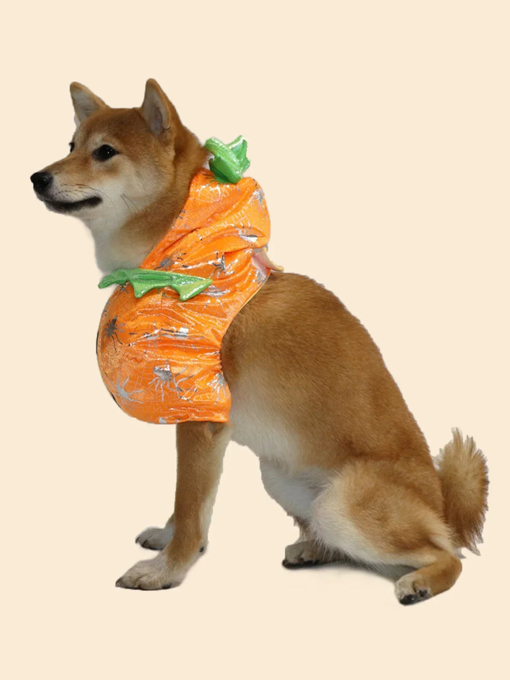 Shiba Inu wearing a pet pumpkin halloween costume with green leafy accents for festive celebrations