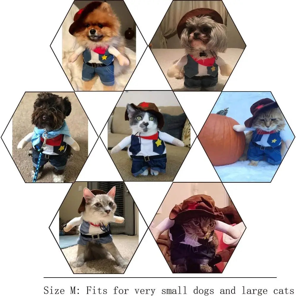 Variety of pets in pet sheriff costume for cats and dogs, showcasing playful outfits for small animals