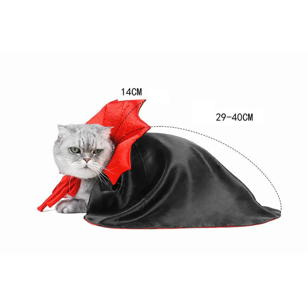 Adorable cat wearing a pet vampire cloak for Halloween with red cape and black fabric
